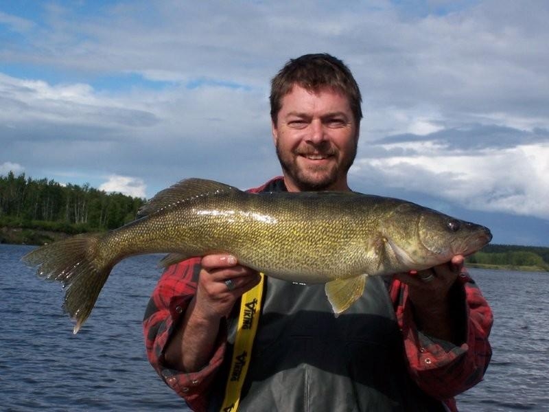 Saskatchewan Walleye